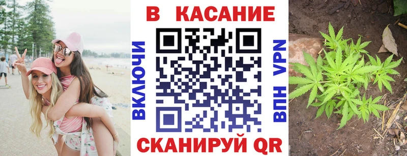 Купить закладку COCAIN  Меф мяу мяу  Каннабис  Великий Устюг