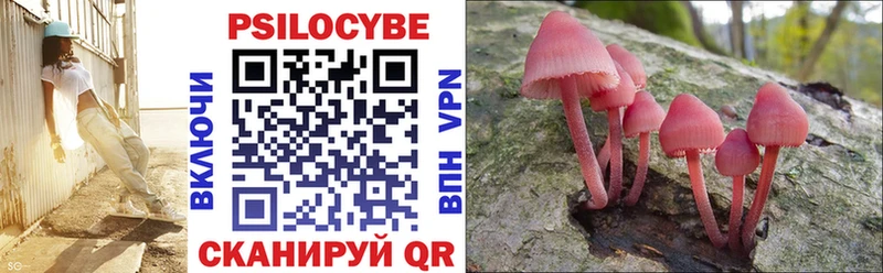 Галлюциногенные грибы Psilocybine cubensis  Купить закладки  Великий Устюг 
